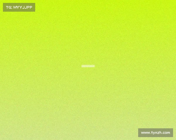 上海马拉松赛事路线